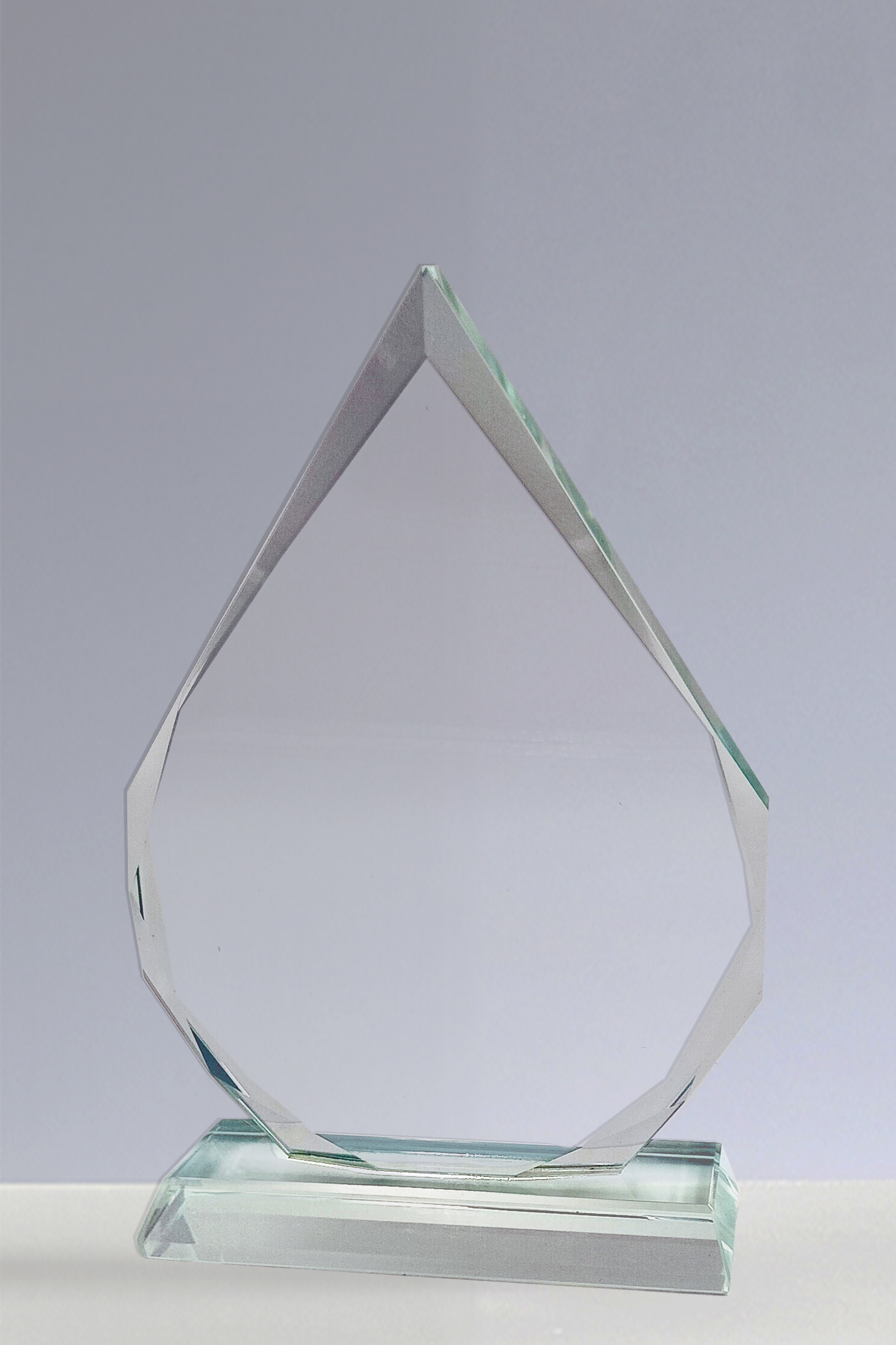 Trofee din Cristal 15